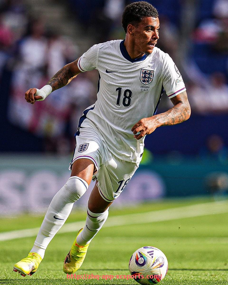 杏彩体育-世俱杯比赛各阶段红黄牌判罚数量及趋势数据盘点