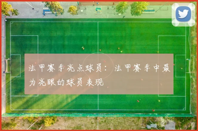 法甲赛季亮点球员：法甲赛季中最为亮眼的球员表现