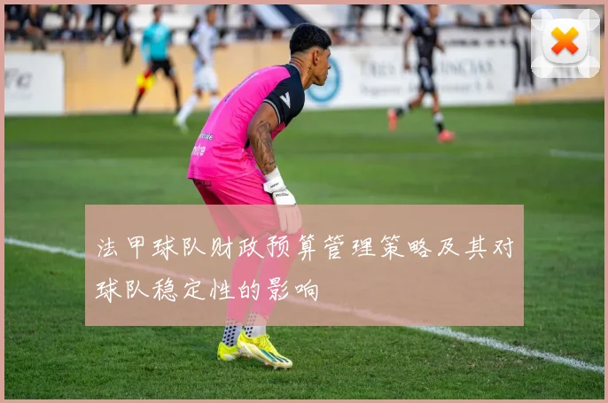 法甲球队财政预算管理策略及其对球队稳定性的影响