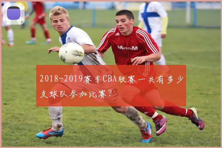 2018-2019赛季CBA联赛一共有多少支球队参加比赛？