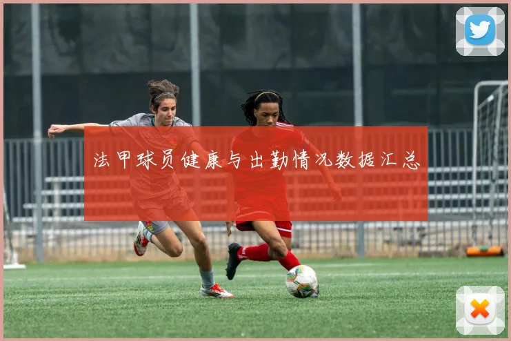 法甲球员健康与出勤情况数据汇总
