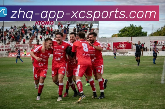 杏彩体育平台生态图