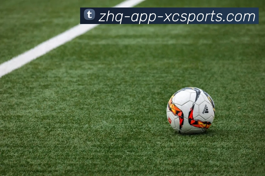 杏彩体育APP 封面图