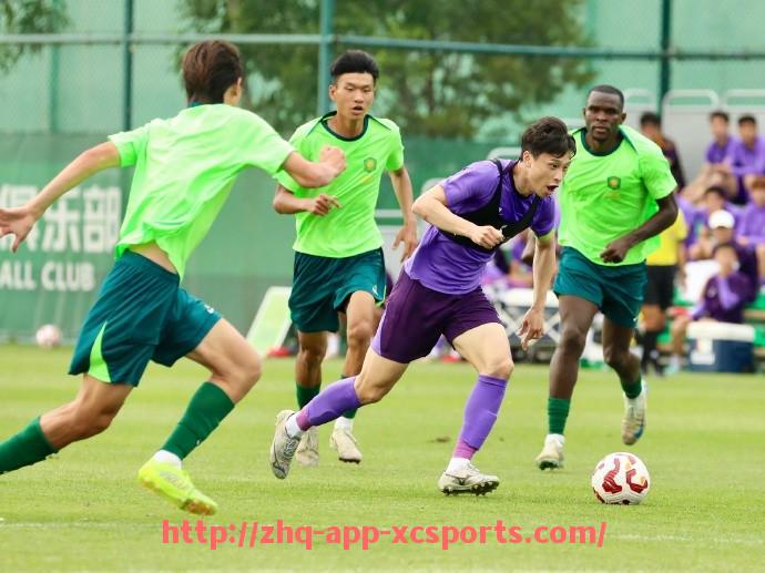 杏彩体育-法甲球队阵容深度分析：主力配置与替补板凳实力对比